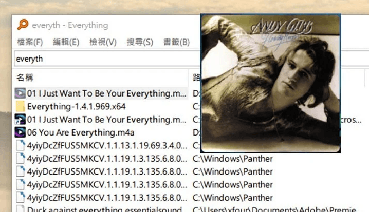 Everything：最方便的电脑文件搜索小工具
